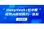 南宫28ng龙智发布“DeepSeek+虹小智”政务大模型算力一